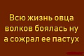 Нажмите на изображение для увеличения
Название: 49D423A1-CC68-404E-8AAB-26B1F2B46274.jpeg
Просмотров: 465
Размер:	53.0 Кб
ID:	2718794