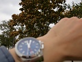 Нажмите на изображение для увеличения
Название: IMG_18560004.JPG
Просмотров: 159
Размер:	1.05 Мб
ID:	2722728