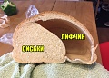 Нажмите на изображение для увеличения
Название: 304F1E58-E869-49C9-B5B4-C48CAC6D8455.jpeg
Просмотров: 593
Размер:	92.5 Кб
ID:	2725020