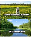 Нажмите на изображение для увеличения
Название: 7A65EDE7-0F82-496E-AA40-1C6490790779.jpeg
Просмотров: 518
Размер:	145.4 Кб
ID:	2763164