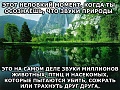 Нажмите на изображение для увеличения
Название: 22DE47B9-8412-45A8-96DE-1CACD61BB097.jpeg
Просмотров: 512
Размер:	108.1 Кб
ID:	2763169