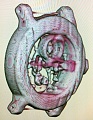 Нажмите на изображение для увеличения
Название: MRI_Scan-Skeleton_tourbillon2-HD.jpg
Просмотров: 892
Размер:	184.9 Кб
ID:	276671
