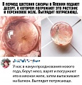 Нажмите на изображение для увеличения
Название: 2F655B82-8E60-4623-9A57-593CB7D2AD07.jpeg
Просмотров: 590
Размер:	158.6 Кб
ID:	2772309