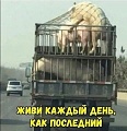 Нажмите на изображение для увеличения
Название: 65FC8E00-9F67-44E4-8A64-88919A88B28A.jpeg
Просмотров: 576
Размер:	81.5 Кб
ID:	2779448
