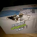 Нажмите на изображение для увеличения
Название: E749AFBC-B932-4D03-99B0-C5B732C1C850.jpeg
Просмотров: 634
Размер:	28.8 Кб
ID:	2787010