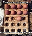 Нажмите на изображение для увеличения
Название: 13726827.jpg
Просмотров: 614
Размер:	184.7 Кб
ID:	2797245