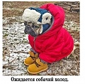 Нажмите на изображение для увеличения
Название: 88406F2A-4E9F-42BF-B764-AB662FAC5EB6.jpeg
Просмотров: 568
Размер:	121.6 Кб
ID:	2798610