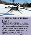 Нажмите на изображение для увеличения
Название: DA4E9896-EF96-4B1A-BE78-7CDC1277C343.jpeg
Просмотров: 694
Размер:	144.7 Кб
ID:	2798616