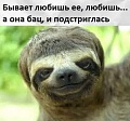 Нажмите на изображение для увеличения
Название: EC154EDD-0C0F-4404-B0AB-0FB438B9F8AB.jpeg
Просмотров: 539
Размер:	59.8 Кб
ID:	2817518