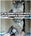 Нажмите на изображение для увеличения
Название: 13796376.jpg
Просмотров: 654
Размер:	52.1 Кб
ID:	2820346