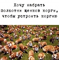 Нажмите на изображение для увеличения
Название: 18C966DD-6174-4ED4-826F-2E846F20FA86.jpeg
Просмотров: 511
Размер:	134.3 Кб
ID:	2828547