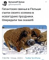 Нажмите на изображение для увеличения
Название: C090D4BB-9990-43DB-8766-8331432F445B.jpeg
Просмотров: 576
Размер:	98.7 Кб
ID:	2845514