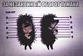 Нажмите на изображение для увеличения
Название: B322D821-B7EE-4960-881E-049F4E5256FD.jpeg
Просмотров: 791
Размер:	50.4 Кб
ID:	2848930