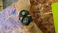 Нажмите на изображение для увеличения
Название: IMG-20200124-WA0011.jpg
Просмотров: 573
Размер:	368.2 Кб
ID:	2849641