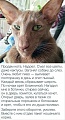 Нажмите на изображение для увеличения
Название: 13921036.jpg
Просмотров: 598
Размер:	63.8 Кб
ID:	2853746