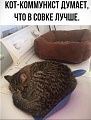 Нажмите на изображение для увеличения
Название: 13945700.jpg
Просмотров: 541
Размер:	98.6 Кб
ID:	2859868