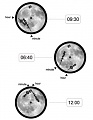 Нажмите на изображение для увеличения
Название: watch_chasyi_M-Theory_TimeSpace_Zero_Gravity_4.jpg
Просмотров: 494
Размер:	24.8 Кб
ID:	286533