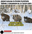 Нажмите на изображение для увеличения
Название: BA719E89-7DD4-49A9-9E80-E7FC5F9217C2.jpeg
Просмотров: 533
Размер:	139.9 Кб
ID:	2871606