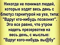 Нажмите на изображение для увеличения
Название: 13987225.jpg
Просмотров: 539
Размер:	55.6 Кб
ID:	2871732