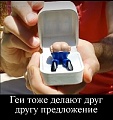 Нажмите на изображение для увеличения
Название: F24175E8-52E4-4113-BDB4-78B52E51454B.jpeg
Просмотров: 580
Размер:	94.0 Кб
ID:	2878284