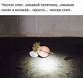 Нажмите на изображение для увеличения
Название: 2CE210AD-D5D0-495D-83C2-93528D20D3F0.jpeg
Просмотров: 604
Размер:	76.2 Кб
ID:	2879270