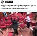 Нажмите на изображение для увеличения
Название: 6CEA3967-5A40-4199-9FF6-9CD962A19E52.jpeg
Просмотров: 607
Размер:	93.2 Кб
ID:	2879277