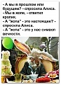 Нажмите на изображение для увеличения
Название: 1.jpg
Просмотров: 148
Размер:	77.3 Кб
ID:	2886100