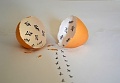 Нажмите на изображение для увеличения
Название: 3228B6A2-F792-423B-8EBF-17BD3E04CFBC.jpeg
Просмотров: 516
Размер:	30.3 Кб
ID:	2886590