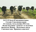 Нажмите на изображение для увеличения
Название: 68B5A3E3-2D87-4848-B352-EB5967AF7FB2.jpeg
Просмотров: 530
Размер:	83.7 Кб
ID:	2891501