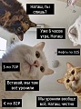 Нажмите на изображение для увеличения
Название: 2.jpg
Просмотров: 596
Размер:	115.8 Кб
ID:	2895313