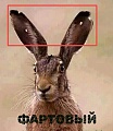Нажмите на изображение для увеличения
Название: 2413513.jpg
Просмотров: 503
Размер:	47.5 Кб
ID:	2908110