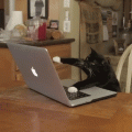 Нажмите на изображение для увеличения
Название: giphy.gif
Просмотров: 97
Размер:	2.23 Мб
ID:	2921677