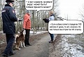 Нажмите на изображение для увеличения
Название: 4CE685D5-8844-4B17-9CEC-FAC5CBFFA6D3.jpeg
Просмотров: 538
Размер:	106.9 Кб
ID:	2927496