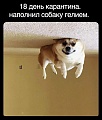 Нажмите на изображение для увеличения
Название: 1FB4EDC2-CE61-43D3-B699-AAC9FABA137D.jpeg
Просмотров: 529
Размер:	108.8 Кб
ID:	2927497