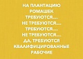 Нажмите на изображение для увеличения
Название: A85DD779-FEB1-469B-AAE1-DD2510FD5E6D.jpeg
Просмотров: 510
Размер:	33.5 Кб
ID:	2927499