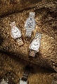 Нажмите на изображение для увеличения
Название: BVLGARI_LVMH-WATCH-WEEK-DUBAI-2020_RUS-scaled.jpg
Просмотров: 102
Размер:	352.5 Кб
ID:	2929456