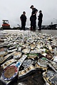Нажмите на изображение для увеличения
Название: 20100427-100756-pic-186117610_t607.jpg
Просмотров: 94
Размер:	178.7 Кб
ID:	292988