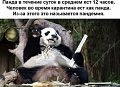 Нажмите на изображение для увеличения
Название: 9A3F3520-EAF2-48AB-BC67-084FA8B9B696.jpeg
Просмотров: 537
Размер:	85.2 Кб
ID:	2932791