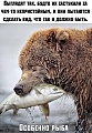 Нажмите на изображение для увеличения
Название: A69CA3F3-7645-4670-94CB-16C4DFEC3409.jpeg
Просмотров: 598
Размер:	204.0 Кб
ID:	2938091