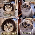 Нажмите на изображение для увеличения
Название: IMG-20200430-WA0020.jpg
Просмотров: 393
Размер:	81.8 Кб
ID:	2942480