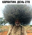 Нажмите на изображение для увеличения
Название: 7D214265-0237-43CA-AA9C-259D0811F315.jpeg
Просмотров: 575
Размер:	108.2 Кб
ID:	2943111