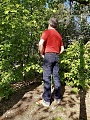 Нажмите на изображение для увеличения
Название: 1ADE414C-7743-4C7D-8A91-E82AED365BD6.jpg
Просмотров: 87
Размер:	969.4 Кб
ID:	2943383
