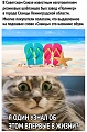 Нажмите на изображение для увеличения
Название: B02ABE64-640C-4AD6-A64A-085680E62918.jpeg
Просмотров: 590
Размер:	152.9 Кб
ID:	2947436