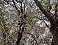 Нажмите на изображение для увеличения
Название: IMG_26830005.JPG
Просмотров: 107
Размер:	1.66 Мб
ID:	2949689