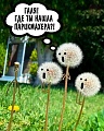 Нажмите на изображение для увеличения
Название: 6A164398-7D94-433F-B870-7A12F22931CA.jpeg
Просмотров: 545
Размер:	136.6 Кб
ID:	2949888