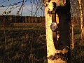 Нажмите на изображение для увеличения
Название: IMG_0274.jpg
Просмотров: 305
Размер:	487.3 Кб
ID:	2950644