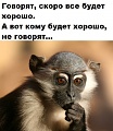 Нажмите на изображение для увеличения
Название: D7A20031-4A7E-4DAE-87DF-C9AA7E905FB2.jpeg
Просмотров: 466
Размер:	99.7 Кб
ID:	2951343