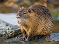 Нажмите на изображение для увеличения
Название: IMG_2339.jpg
Просмотров: 47
Размер:	425.7 Кб
ID:	2959015