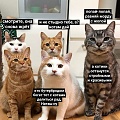 Нажмите на изображение для увеличения
Название: IMG_20200524_195513_991.jpg
Просмотров: 587
Размер:	164.9 Кб
ID:	2960966