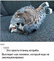 Нажмите на изображение для увеличения
Название: IMG_20200524_195445_200.jpg
Просмотров: 497
Размер:	132.5 Кб
ID:	2960968